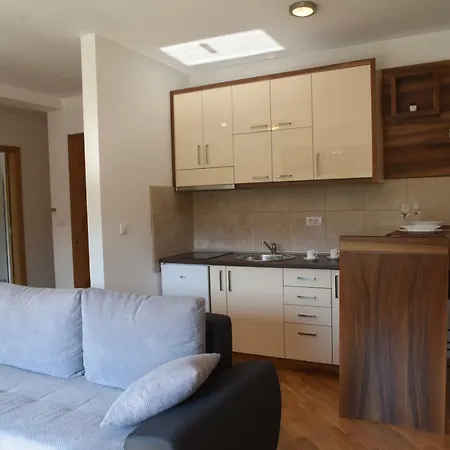 Apartmani Sunny Side Vrnjacka Banja Exterior photo